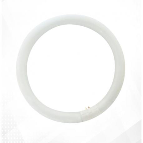 FLUORESCENTE CIRCULAR 32W 6400K GM