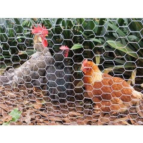 MALLA GALLINERO HEXAGONAL 13X0 7MM 1X50 METROS SUN